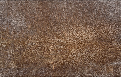 金属材料腐蚀试验