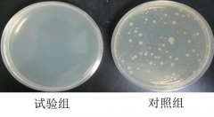 如何检测材料的抗菌防霉性能？